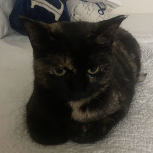 Meet your Posher, Eva